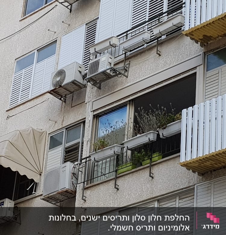 חלונות בבניין 